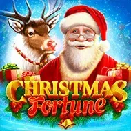 Christmas Fortune screenshot